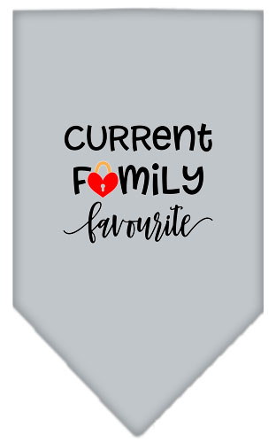 Family Favorite Screen Print Bandana Grey Small